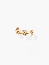 Anthos double ring