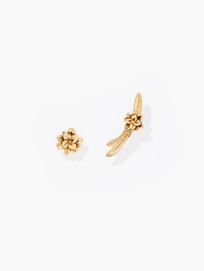 Boucles d'oreilles Anthos