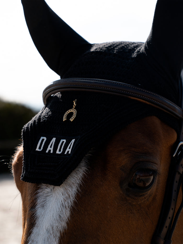Charm fer à cheval